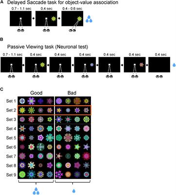 Visual Neurons in the Superior Colliculus Discriminate Many Objects by Their Historical Values